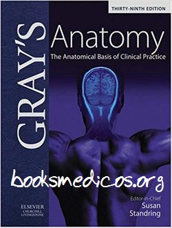 Gray's Anatomy 第39版 Gray's Anatomy: 42nd edition | Edited by Susan Standring